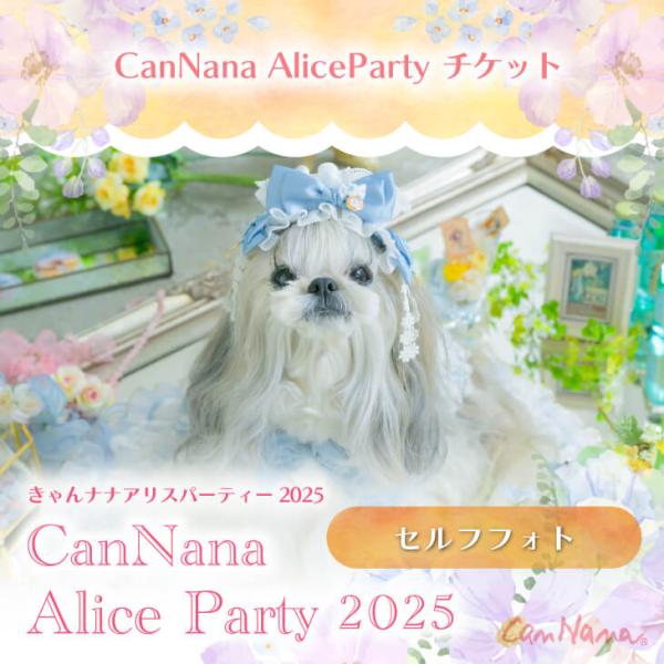 不思議の国のアリス アリスパーティ チケット ドッグイベント イベント