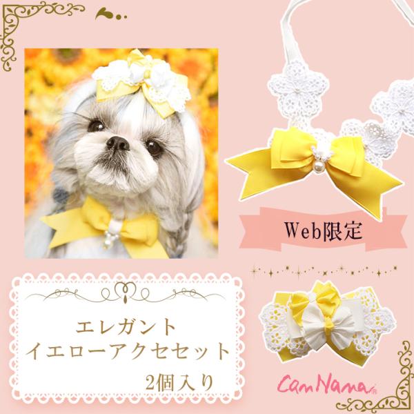 ワンタッチ リボン ペットの人気商品 通販 価格比較 価格 Com