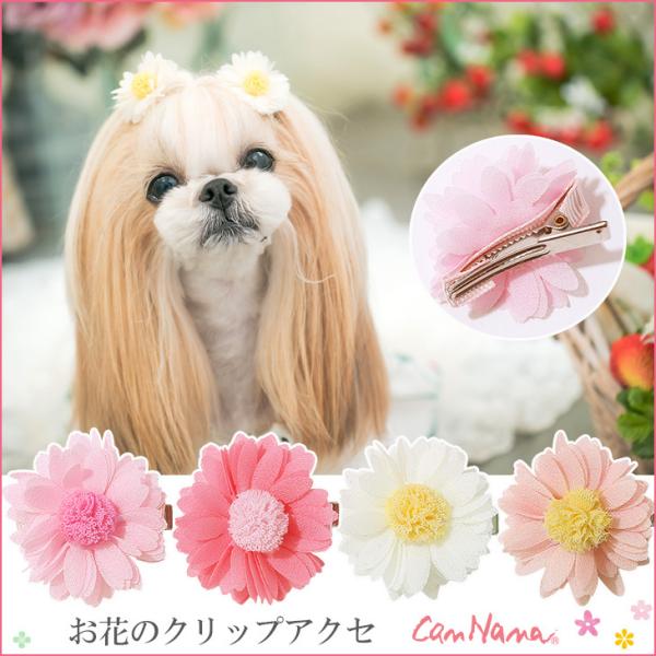 犬 アクセサリー 花 リボン クリップ 簡単 きゃんナナ ブランド Buyee Buyee 日本の通販商品 オークションの代理入札 代理購入