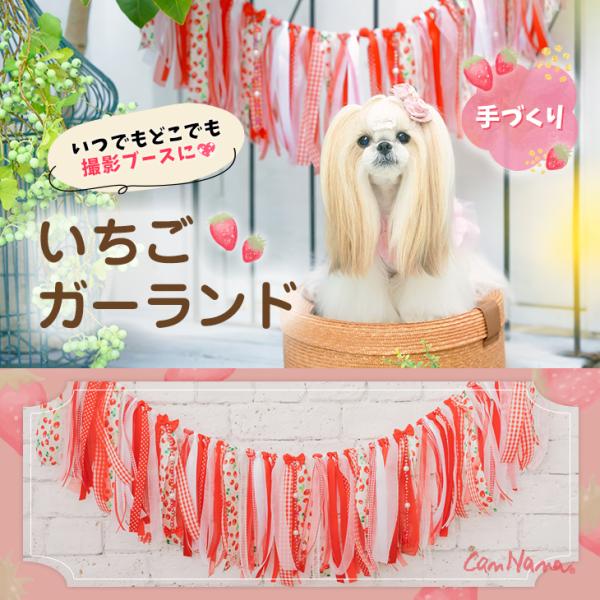 CanNana 犬 服 犬 春夏 いちご ガーランド インテリア 撮影グッズ 犬の