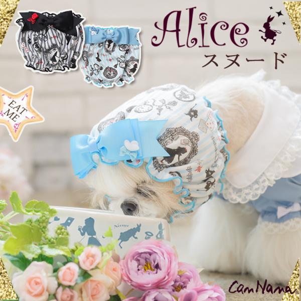 ii    p Xk[h ybgO[~O C[Jt ̎Jo[uh Zu ^ V[Y[ gCv[h ` AX v[g