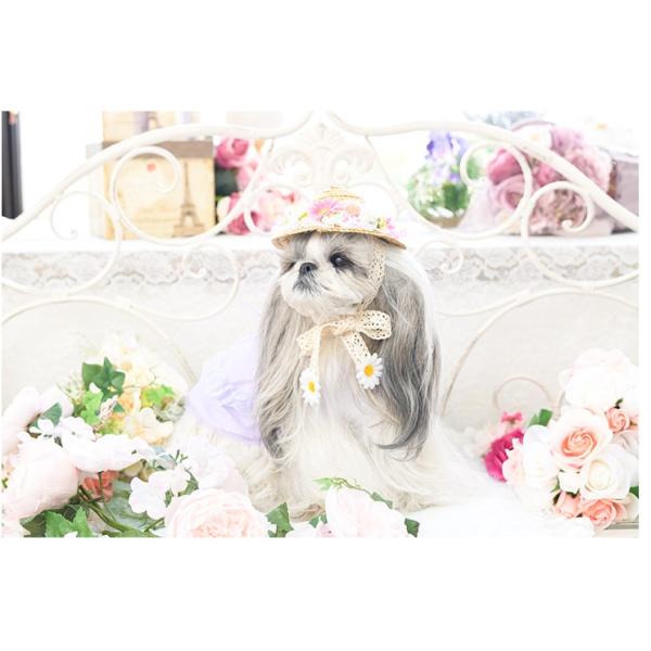 犬 クラフト 制作 キット 麦わら 帽子 アクセサリー 手作り 犬用 グッズ きゃんナナ ブランド Buyee Buyee 提供一站式最全面最專業現地yahoo Japan拍賣代bid代拍代購服務 Bot Online