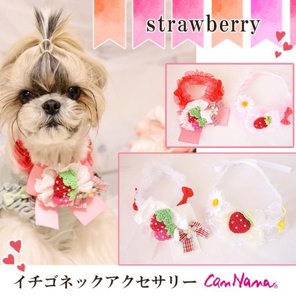 犬用 いちご アクセサリー シュシュ ネック ドッグウェア ブランド きゃんナナ Buyee Buyee Japanischer Proxy Service Kaufen Sie Aus Japan