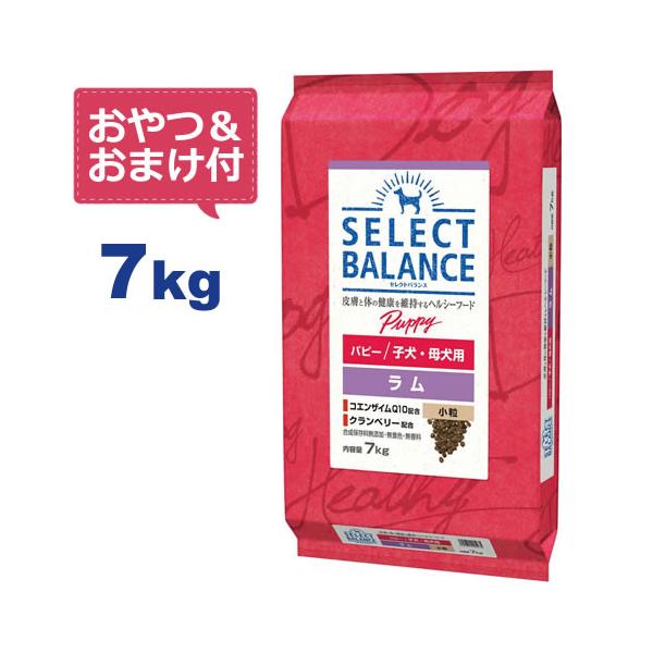 Amazon.co.jp: セレクトバランス パピー ラム小粒 7kg : ペット用品