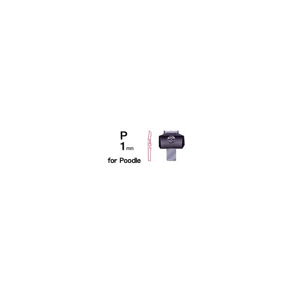 d@@Xs[fBNdCoJ@֐n@P1mm