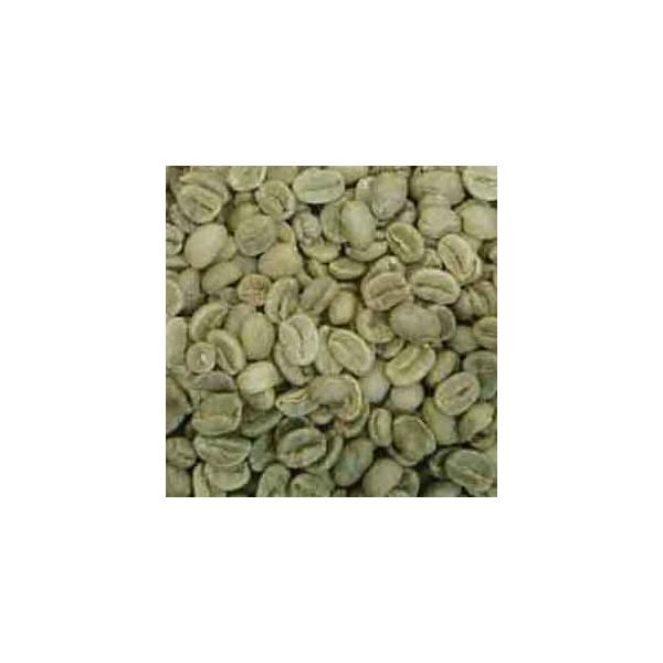 CAPITAL R[q[ L}WAA ^UjAY 100g  Ls^R[q[