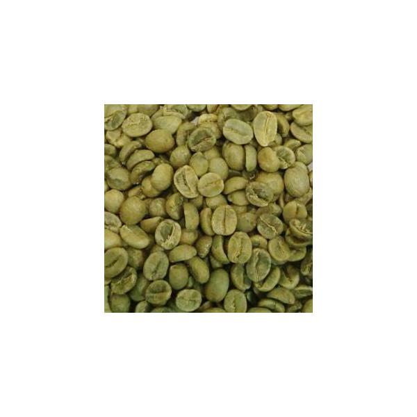 CAPITAL コーヒー生豆 ブラジル サントスNo.2 ブラジル産 100g 袋 【キャピタルコーヒー/CAPITAL】