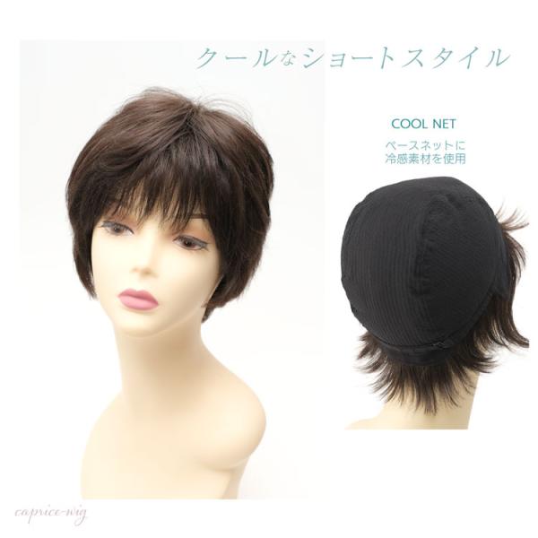 人毛ミックスウィッグ クールウィッグ レイヤーシャギー ショート Cw M4 Prettyfunnyballoons Com