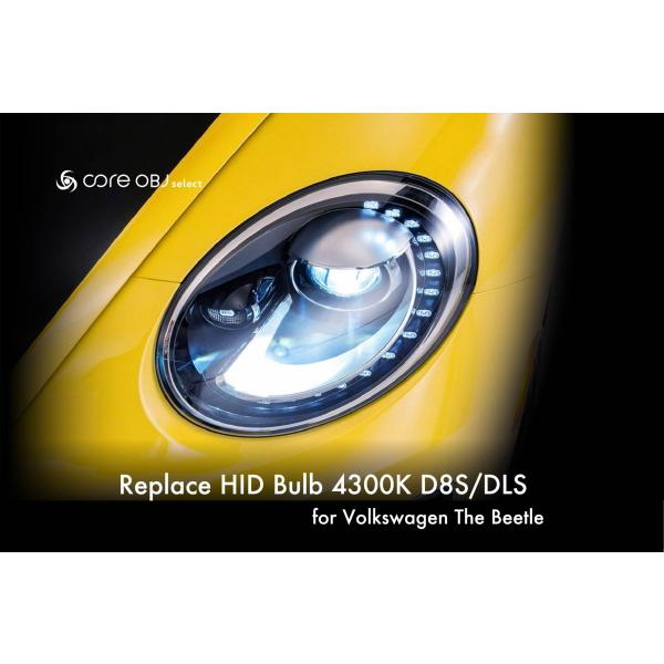 CodeTech コードテック CS-D8S-4300K ザ・ビートル純正HID交換バルブ D8S/DLS 4300K
