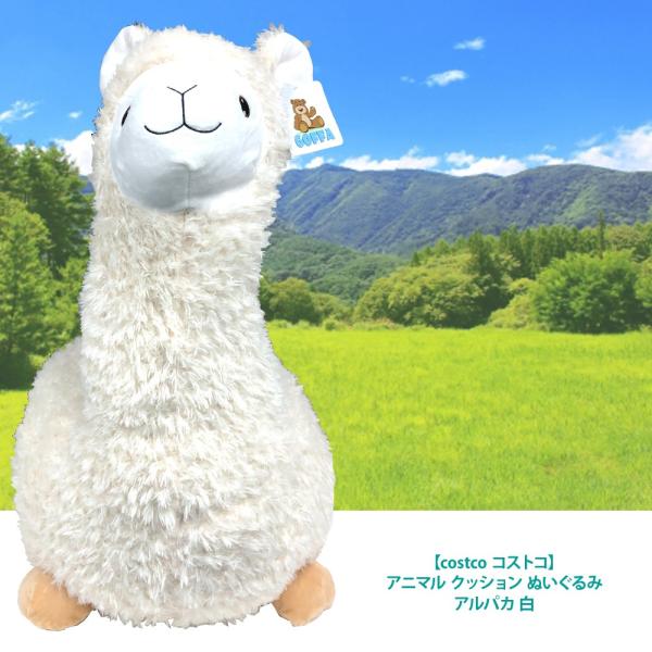 除外する 安全性 深い アルパカ クッション Servicehospitality Org