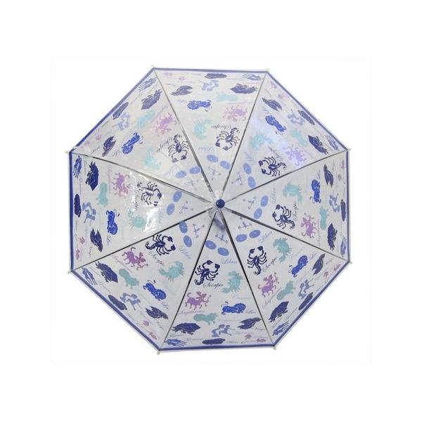 San Gakken 学研 学研図鑑live 学研図鑑live 星 星座の透明poe 子供傘 50cm 持ち手色 ブルー Buyee Servicio De Proxy Japones Buyee Compra En Japon