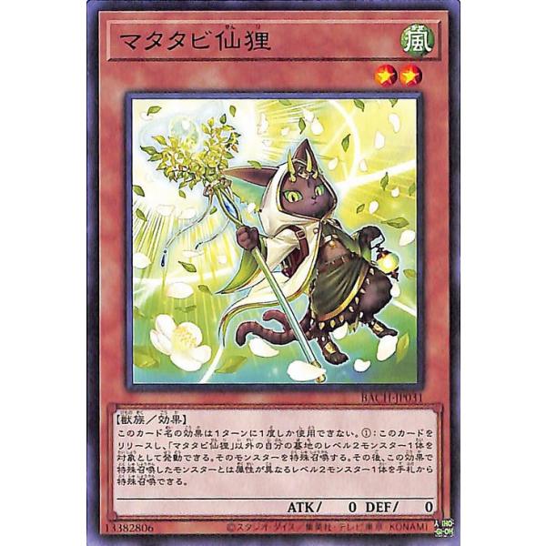 card-museum_bach-jp031-n