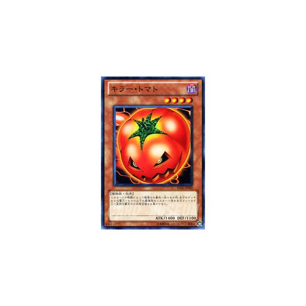 遊戯王オフィシャルカードゲーム デュエルモンスターズ 遊戯王カード