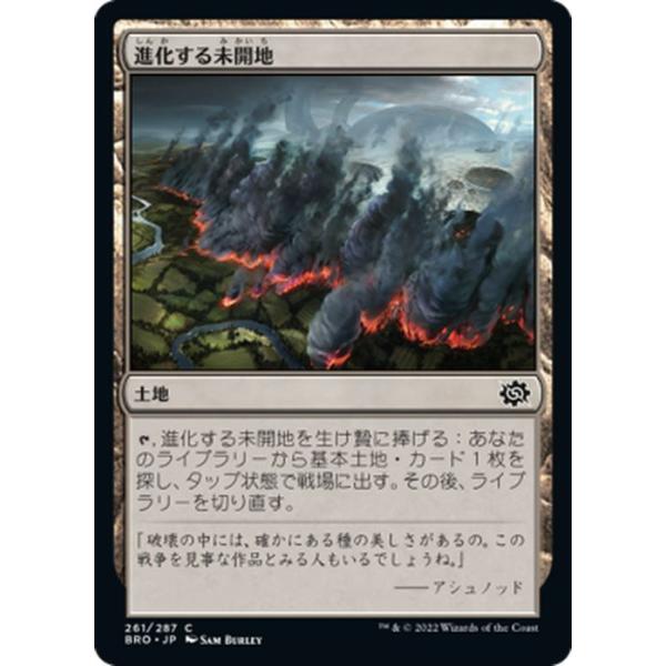 card-museum_bro-261-c
