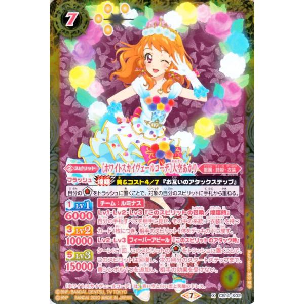 card-museum_bs-cb14-x02-xr