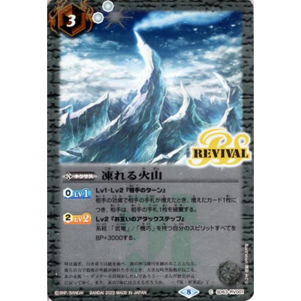 card-museum_bs-sd63-rv001-c