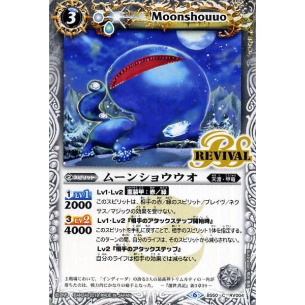 card-museum_bs50-rv004-c