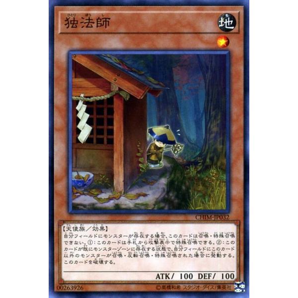 遊戯王オフィシャルカードゲーム デュエルモンスターズ 遊戯王カード
