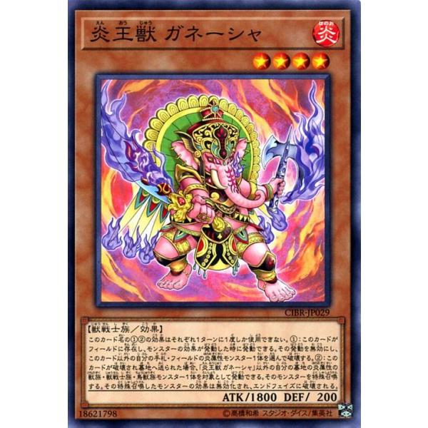 遊戯王オフィシャルカードゲーム デュエルモンスターズ 遊戯王カード