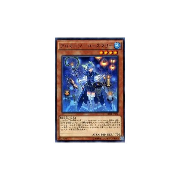 遊戯王オフィシャルカードゲーム デュエルモンスターズ 遊戯王カード