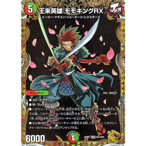 card-museum_dm22rp1-sp1-kgm card-museum_dm22rp1-sp1-kgm