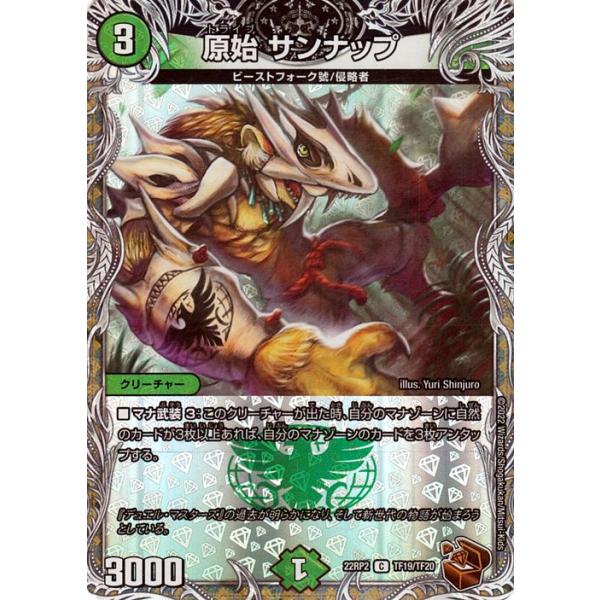 card-museum_dm22rp2-tf19-c