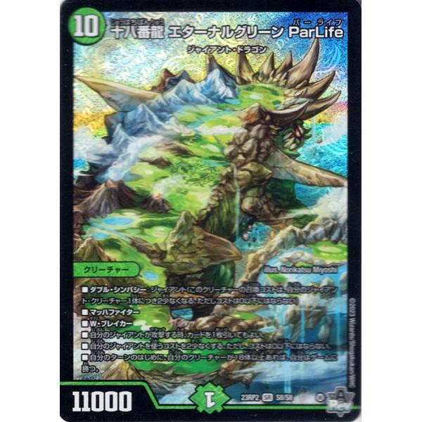 card-museum_dm23rp2-s8-sr