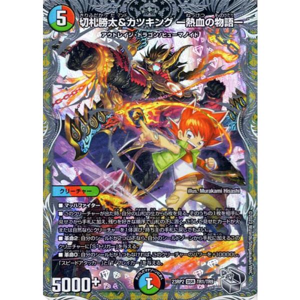 card-museum_dm23rp2-tr1-dsr card-museum_dm23rp2-tr1-dsr