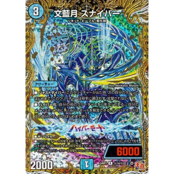 card-museum_dm24rp1-si14-r