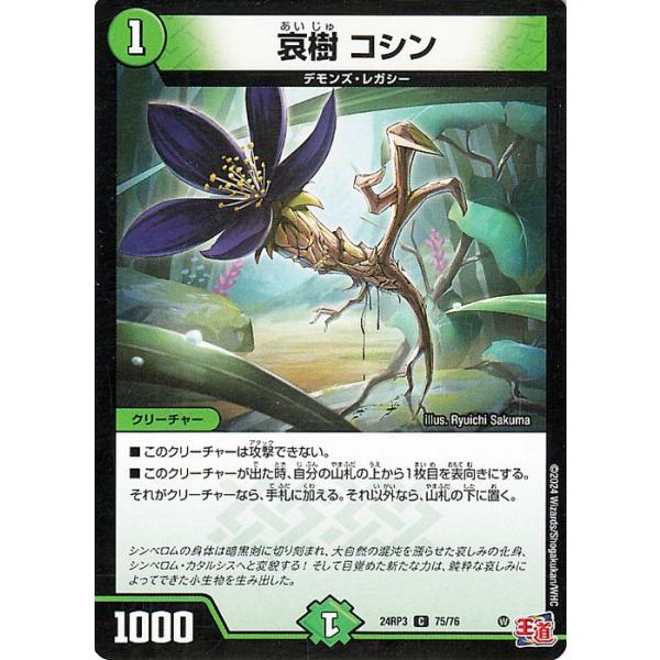 card-museum_dm24rp3-75-c