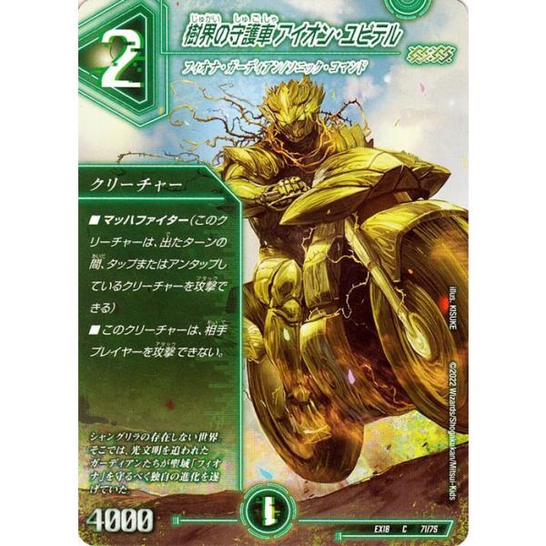 デュエルマスターズ - おんびー 8190VmpCHPL._AC_UL210_SR210,