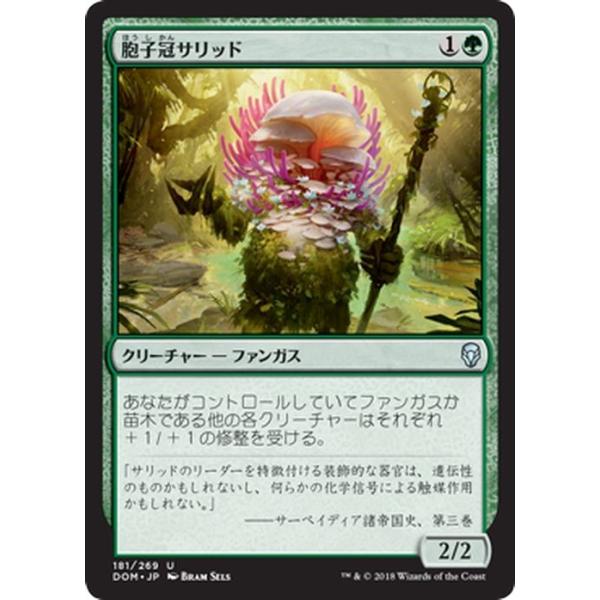 card-museum_dom-181-uc
