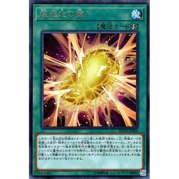 遊戯王カード 超進化の繭 レア デュエリストパック レジェンドデュエリスト編2 Dp19 Dp19 Jp009 R カードミュージアム Yahoo 店 通販 Yahoo ショッピング