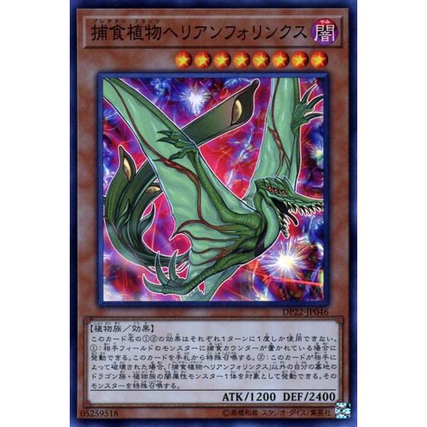 card-museum_dp22-jp046-sr