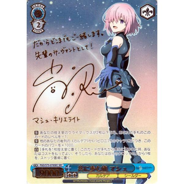 ヴァイスシュヴァルツ Fate/Grand Order -絶対魔獣戦線バビロニア