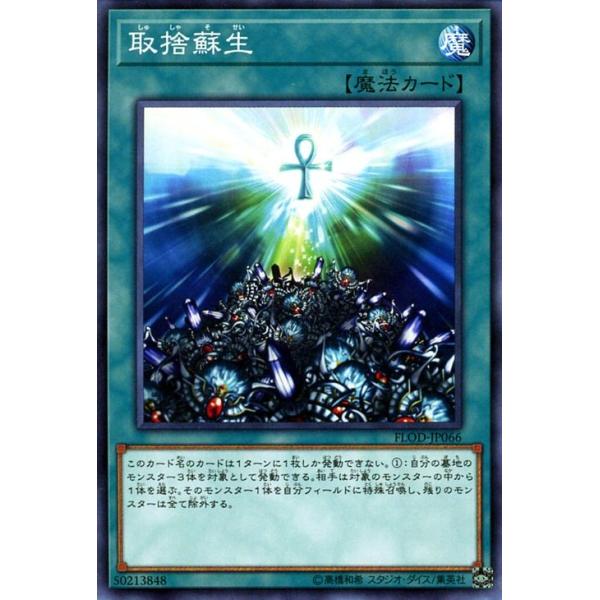 遊戯王カード 取捨蘇生 ノーマルレア フレイムズ オブ デストラクション Flod Flod Jp066 Nr カードミュージアム Yahoo 店 通販 Yahoo ショッピング