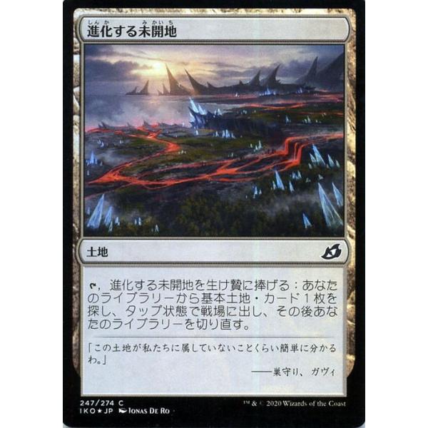 card-museum_iko-f247-c