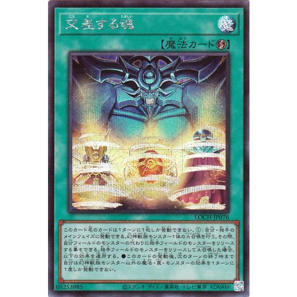 遊戯王オフィシャルカードゲーム デュエルモンスターズ 遊戯王カード