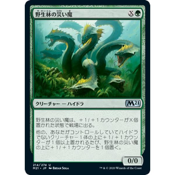 MTGマジックザギャザリングコモンアンコモン緑 card-museum_m21-214-uc