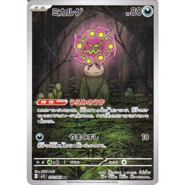 card-museum_pmm01l-071-ar