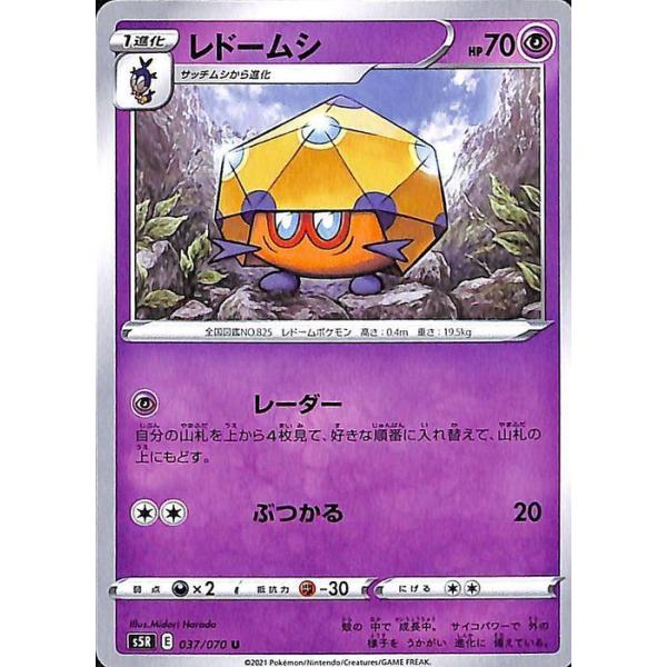 サッチムシ 進化