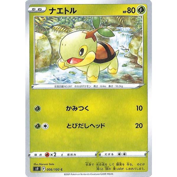 ポケモンバトルカードe+ 希少品 card-museum_pms9-006-c