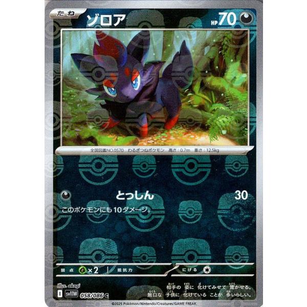 card-museum_pmsv11wm-058-c