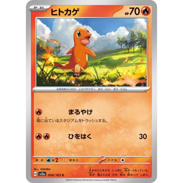 card-museum_pmsv2a-004-c