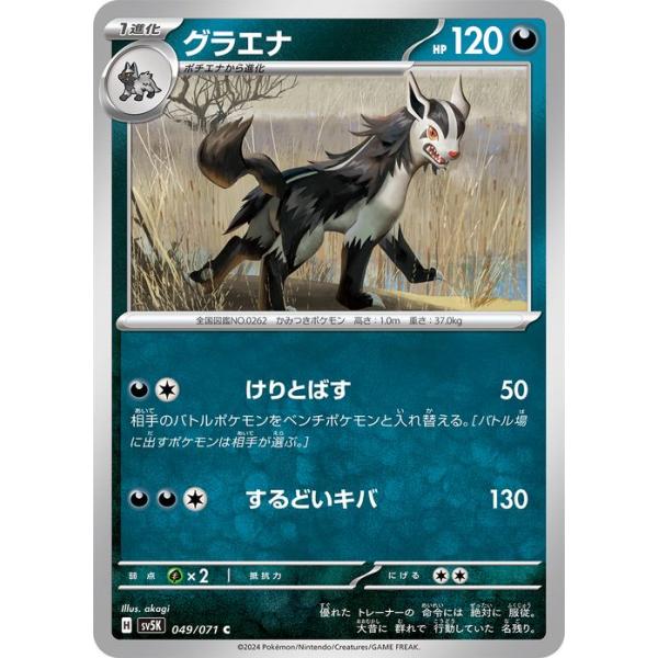 card-museum_pmsv5k-049-c