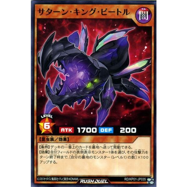 card-museum_rdkp01-jp035-n