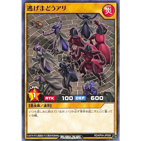 card-museum_rdkp04-jp009-n