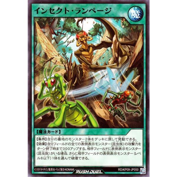 card-museum_rdkp09-jp050-n