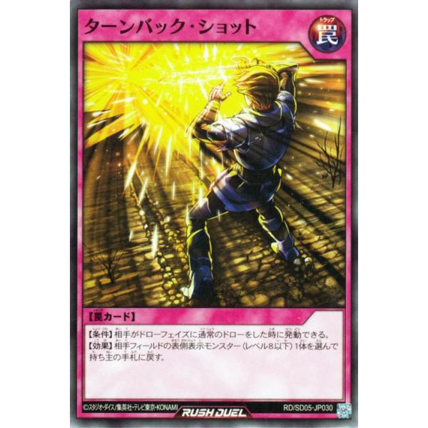 card-museum_rdsd05-jp030-n