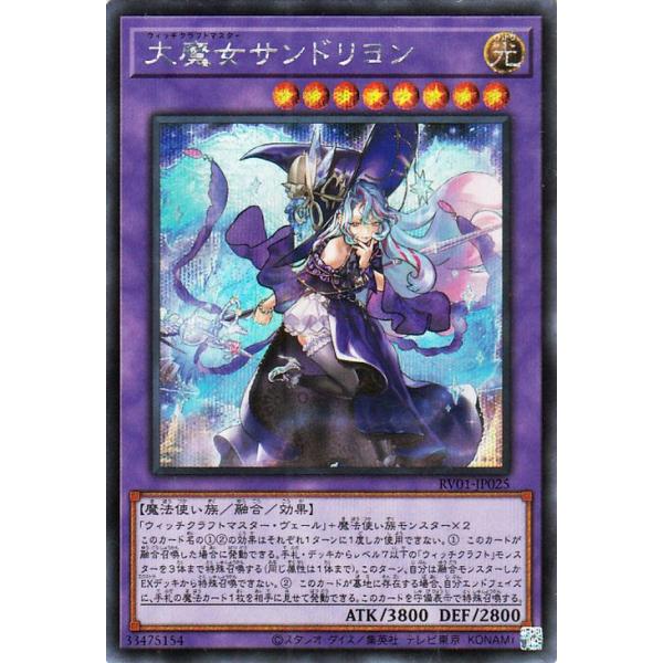 遊戯王オフィシャルカードゲーム デュエルモンスターズ 遊戯王カード